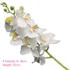 one Real Touch Orchids Butterfly Phalaenopsis White/Fuchsia/Pink/Yellow Artificial Latex Orchid Flowers For Wedding Decoration T191029