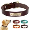 étiquette de collier de chien personnalisé