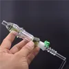 Glazen Bong Hookah Kits met Quartz Titanium Tips Glas Olie Burner Bongs Roken Waterleidingen DAB Straw Oil Pijpen met 45 graden Quartz Banger Nail