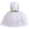 Dantel Tül Kızlar Pageant Elbise Çiçek Kız Düğün Çiçek Parti Prenses İlk Communion Gowns 3 4 6 8 10 12 Y 210508