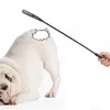 Flirt Pole Interactive Tug Speelgoed met antislip handvat PET-trainingen Teaser Wand voor grote honden Paardrijden gewassen Jump Bat Restrianism Whips