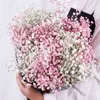 Gifts for women Big Bunch Baby Breath Natural Dried Preserved Gypsophila Flower Decor Home Wedding Bouquet Valentines Day Gift Craft Paniculata