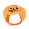 Vêtements pour chiens Chapeau pour animaux de compagnie Chapeau de citrouille d'Halloween mignon costume d'animal de compagnie couvre-chef festival maison décorer Fournitures T2I52411