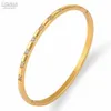 Fysara 4mm Largeur Mince Sqaure Cz Cristaux Bracelets Pour Femmes Bracelets De Mariage Titane Acier Bijoux Charme En Gros Q0719