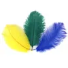 Ostrich Feather Plume Colorful Feathers For Crafts Costume Supplies Table Wedding Birthday Centerpieces 12Colors Choose Hh9-2119 Abuo 646 V2