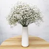 Naturalne świeże wysuszone kwiaty Gypsophila paniculata Baby039s Bukiety Flower Bukiety Prezent na dekorację ślubną dom de4372417