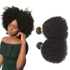 Erstklassige schwarze Frauen lieben rohes indisches Remy-Haar, ganze Afro-Kinky-Curly-Bündel, unverarbeitete natürliche Farbe79121873328152