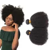 Hoogwaardige Zwarte Vrouwen Houden Van Ruwe Indiase Remy Haar Hele Afro Kinky Krullend Bundels Onverwerkte Natuurlijke Kleur79121875434050