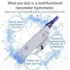 Mini 2 In 1 Mesotherapy Gun Top Quality Nano Derma Micro Needle Pen