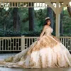 Champagne robe de bal à manches longues robes de Quinceanera robes de bal formelles robes de bal à lacets princesse douce 15 16 robe