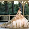 Champagner-Langarm-Ballkleid für Quinceanera-Kleider, formelle Abschlussball-Abschlusskleider, mit Schnürung, Prinzessinnenkleid für das Bonbon 15/16