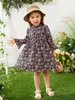 Toddler Girls Floral Flounce Sleeve Dress SHE