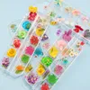 1Box Dried Flowers Dry Plants For Resin Molds Fillings Epoxy Pendant Necklace Jewelry Making Craft DIY Nail Art Decoration Decorat221f