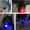 Dog Collars & Leashes Collar Glowing Pendant Night Safety Outdoor LED Pet Cat Leads Necklace Luminous Identify Light