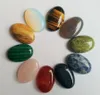 Assorted Natural Stone Oval Flat Base Cab Cabochon Cystal Loose Pärlor För Halsband Örhängen Smycken Klädtillbehör Göra grossist 20x30mm