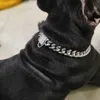 Cani Nuovissimi collari a catena da addestramento da 14 mm per cani di grossa taglia Pitbull Bulldog Collare per cani antiscivolo in acciaio inossidabile oro argento forte