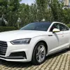 2 шт. для Audi A4 S4 RS4 B9 A5 S5 RS5 2016 2017 2018 2019 динамический указатель поворота светодиодный свет боковое крыло зеркало заднего вида световой индикатор