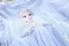 Kids Girls Princess Dress Cosplay Costume Automne Baby Clothes Robes Glitter Mesh 27T6219029