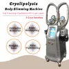Cryolipolysis脂肪凍結3 Cryoヘッド脂肪吸引術真空療法の減量体電気周波数の皮の持ち上がる機械無線周波数