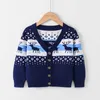 2021 neue Strickjacke Pullover Für Jungen Mädchen Winter Kinder V-ausschnitt Pullover Hohe Qualität Tops Herbst Kinder Strickwaren Pullover Y1024