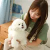 시뮬레이션 Bichon Frize Plush Dog Toy Supe Cute vomeranian 박제 동물 생일 강아지 애완 동물 애완 동물 애호가를위한 장난감 Y211119