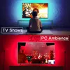 Striscia a LED 5V USB RGBIC DREAM COLORE STRIPPIPIPI DI LUCE WS2812 MUSICA APP BLUETOOTH MUSICA Play TV Backlight Luci di background flessibile di sfondo flessibile