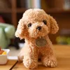 シミュレーションテディ犬のぬいぐるみおもちゃ人形子犬犬ragdoll doll05309955