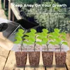 Drie-stuks plastic zaailing box met 12 holes zaad starter kit plant propagator lade ingesteld kieming grow planters potten