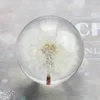 Novelty Items Transparent Resin Dandelion Crystal Ball Glass Ornaments Creative Decoration Crafts Desktop Modern Plants Small