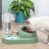 alimentador de alimentos de gato automático