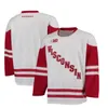 Custom Wisconsin Badgers College Hockeynhljersey Cole Caufield Brock Dylan Holloway Mike Eaves Ryan McDonagh Corson Ceulemans Tarek Baker Roman Ahcan Ja