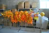 New Decation 10m 6 adulti Stage Wear Cultura tradizionale cinese DRAGON DANCE ORIGINAL Costume mascotte popolare Festival placcato oro