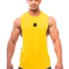 Męska Plus Tees Polos Siłownia Odzież Bodybuilding Mesh Top Mężczyźni Marka Trening Musculation Fitness Sport Singlets Muscle Bez Rękawów Kamizelka