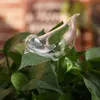 급수 장비 귀여운 자동 꽃 장치 유리 자조 스테이크 식물 물 관개 물 글로브 HKS99