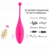 Uova vibratori telecomandati senza fili Jump Egg Vaginal Balls G Spot Clitoride Massager Vibrazione femminile Giocattoli adulti del sesso per le donne 1124