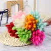 Rabbit tail grass dry flower bouquet material photo frame Decorative Flowers DIY dog tails grass Photography props ZC950