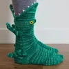 Chaussettes de Noël fournit des chaussettes en tricot à caméléon de caméléon