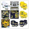 Maglia da hockey cucita personalizzata Michigan Wolverines Quinn Hughes Tyler Motte DYLAN LARKIN Martin Werenski Hyman Jose Cecconi Jake Slaker Luke Martin Nicholas Boka