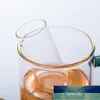 Glas thee infuser creatieve pijp glas ontwerp thee zeef voor mok fancy filter voor Puer thee kruidgereedschap accessoires drinkware fabriek prijs expert ontwerpkwaliteit