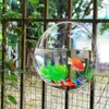 Aquariums Acrylic Plexiglass Fish Bowl Wall Hanging Aquarium Tank Aquatic Pet Products Mount For Betta2327