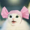 Dog Odzież Candy Pet Hat Dekoracyjne Party Cap Dla Kotów / Małe Psy Paddy Cute Akcesoria Kolor Dot Headwears Cat / Puppy