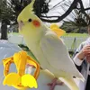 Autres fournitures d'oiseaux Longueur étendue Perroquet Gilet Corde Facile à transporter Confortable Créatif Perruche Transport