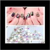 Crystal AB Düz Rhinestone Tırnak Dekorasyonu SS3-SS50 3D Cam Tırnak Sanatı Rhinestones Karışık Boyut Çiviler Taşlar Aksesuarları IG1TV WYZQX