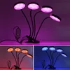 USB-Vollspektrum-Pflanzenlampe, DC 5 V, Wachstumslicht mit Timer, 15 W, 30 W, 45 W, 60 W, Desktop-Clip-LED-Phyto-Lampen für Pflanzen, Blumen