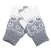 Creative Fashion Snowflake Printing Gloves Mobile Phone Touch Screen Knitted Winter Thick & Warm Adult Glove Men Women DD665