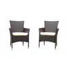 US stock 2pcs Patio Rattan Armchair Seat Sets with Removable Cushions a07184z