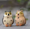 Micro Mini Fairy Garden Miniatures Figurki Żywicy Owl Ptaki Zwierząt Postać Zabawki Domowe Dekoracja Ornament
