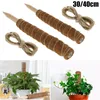 Fournitures de jardin Autres plantes d'intérieur 30 cm/40 cm Poteau totémique en bâton de mousse de coco pour plantes grimpantes Support