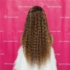 T Markeer Indiase menselijk haarpruiken gluueless 30inches Kinky Kinky Curly volledige kanten pruiken voor zwarte vrouwen 360 veters frontale ombre pruik