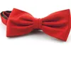 2021 Papillon a righe 12 * 6cm bowknot 30 colori tinta unita papillon cravatta da uomo set per la festa del papà papillon da uomo d'affari regalo di Natale